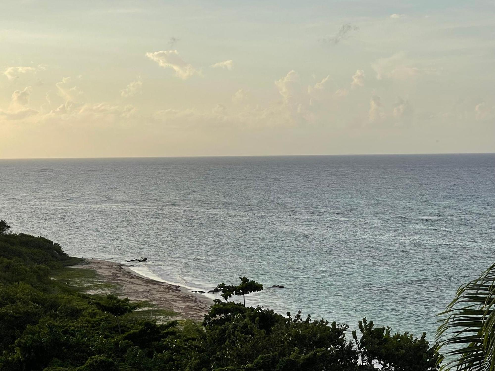 Marriott Seacastles E22, Montego Bay Apart otel Dış mekan fotoğraf